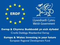 ERDF logo